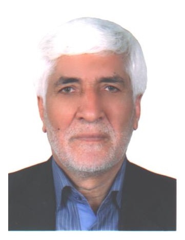 Mr. Seyed Mahmoud Seif Al-Hosseini 